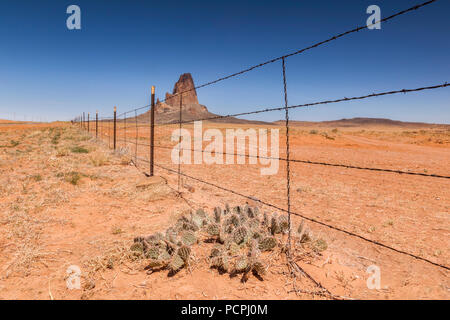 Agathla Peak seen from behind a barbed wire fence, Monument Valley, Kayenta County, Arizona, USA. Stock Photo