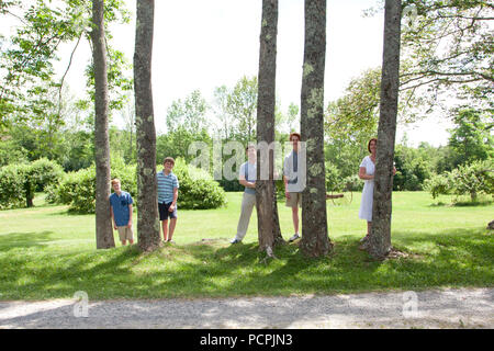 A beautiful ginger family hides behind trees in the park, peeking out and being playful. Stock Photo