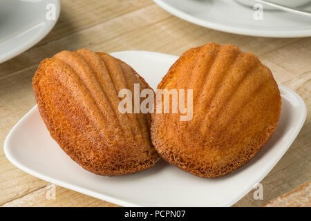 Two traditional fresh baked French madeleines on a plate Stock Photo