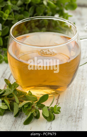 Glass cup of herbal tea and a twig of fresh marjoram Stock Photo