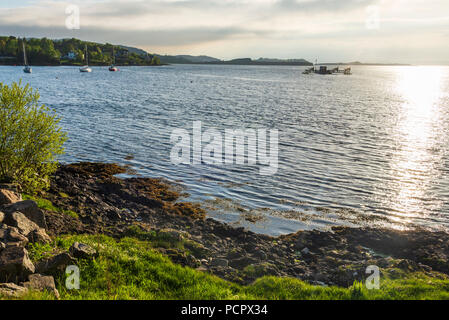sunset over the Connel bridge and Lora waterfall Stock Photo