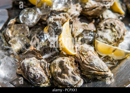 Oyster with lemon in ice in a sunny day on a foodfest Stock Photo