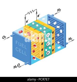 Fuel cell diagram. Vector. Device that converts chemical potential energy into electrical energy. A PEM, Proton Exchange Membrane cell uses hydrogen gas and oxygen gas as fuel. Stock Vector