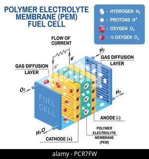 Fuel cell diagram. Vector. Device that converts chemical potential energy into electrical energy. A PEM, Proton Exchange Membrane cell uses hydrogen gas and oxygen gas as fuel. Stock Vector