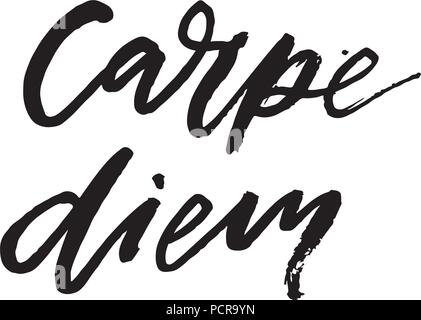 Carpe diem on a black background vector
