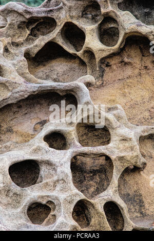 Honeycomb weathering patterns in the limestone within the Yehliu Geological Park known to geologists as the Yehliu Promontory, forms part of the Dalia Stock Photo