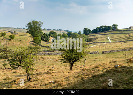 View of the countryside around Malham Cove in the Yorkshire Dales National Park Stock Photo