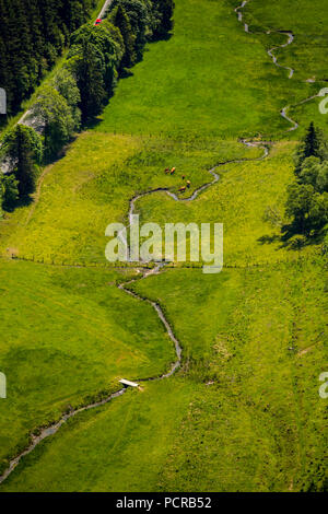 Cow pastures on the upper reaches of the Ruhr, Ruhr valley with cow pastures, Winterberg, Hochsauerland, North Rhine-Westphalia, Germany Stock Photo