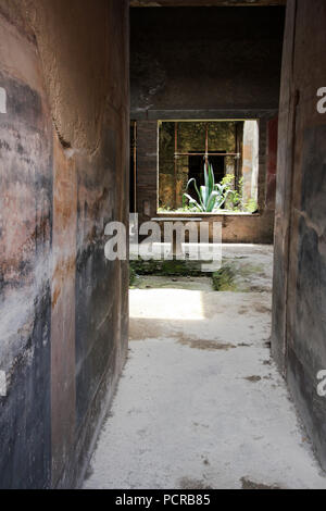 Stone-made table and a cactus growing at the courtyard, visible through a window at the Fabius House Amandius at the ancient city of Pompeii, Italy Stock Photo