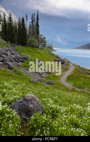 Medicine Lake, Jasper National Park, Alberta, Canada Stock Photo