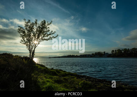 sunset over the Connel bridge and Lora waterfall Stock Photo