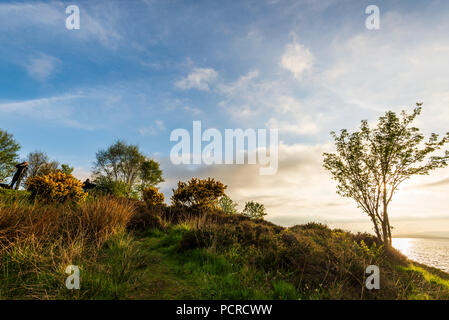 sunset over the Connel bridge and Lora waterfall Stock Photo