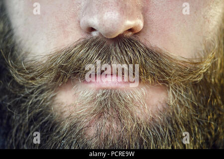 Mustache Close Up. Part of the Face of a Bearded Man Stock Photo