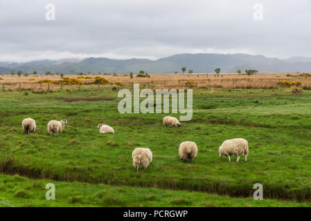 views of the kintyre peninsula in a cloudy day Stock Photo