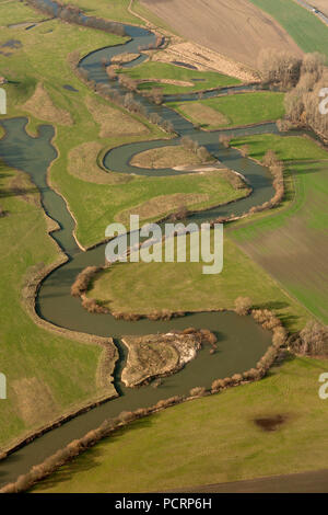 Aerial view, cleared poplars at Castle Oberwerries, Lippe, Lippe maeander near Castle Oberwerries, Hamm, Ruhr area, North Rhine-Westphalia, Germany, Germany, Europe Stock Photo