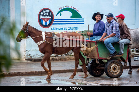 one-horse carriage, one-horse vehicle, Cuban means of transport, Viñales, Cuba, Pinar del Río, Cuba Stock Photo