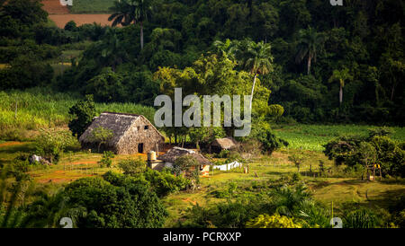 Farmhouse, farmer cottage, barn for drying tobacco leaves, tobacco fields and the mountains of the Mogotes, Viñales Valley with karst mountains, Viñales, Pinar del Río province, Cuba, North America, Cuba Stock Photo