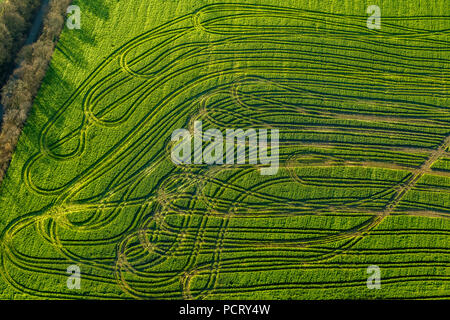 Tractor tracks in the sown field, Zum Grünedal, Velbert, Ruhr area Stock Photo