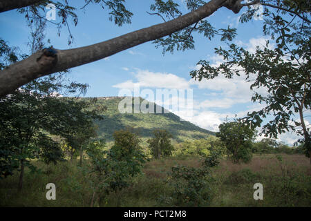 the Landscape near the Khmer Temples of Prsat Preah Vihear north of the town Sra Em in the province of Preah Vihear in Northwest Cambodia.  Cambodia,  Stock Photo