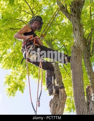 female Arborist getting ready to use a chainsaw Stock Photo