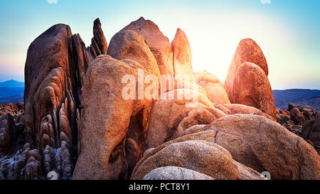 Rock formations at Joshua Tree National Park at sunset, California, USA. Stock Photo