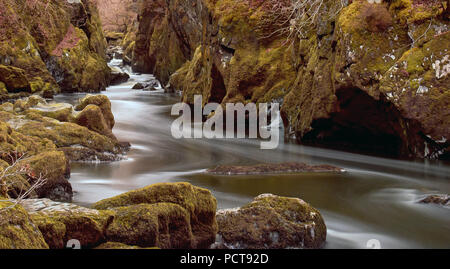 Fairy Glen, River Conwy, Betws Y Coed, North Wales Stock Photo