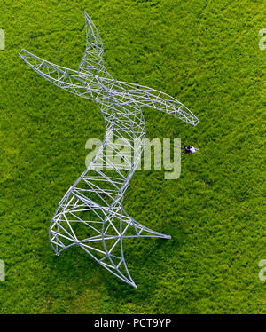 EMSCHERKUNST 2013 public art by Berlin artist group 'Inges', transmission tower in the Emscher meadows near Ripshorst House, Der Zauberlehrling (the sorcerer's apprentice), Oberhausen, Ruhr area Stock Photo