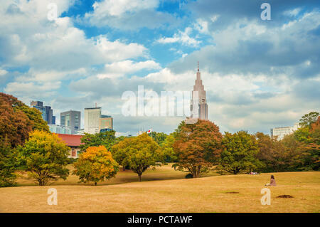 Nature and urban, environment in Tokyo. Shinjuku district skyscrapers seen from Meiji Jingu public park in autumn Stock Photo