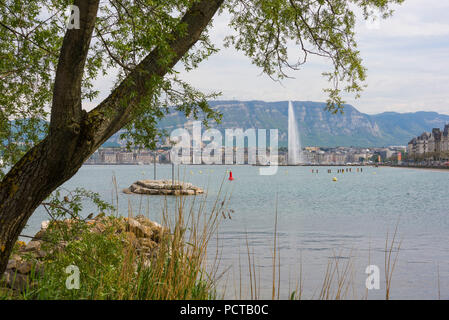 View of lake with fountain Jet d'eau in front of waterfront, Geneva, Canton of Geneva, Western Switzerland, Switzerland Stock Photo