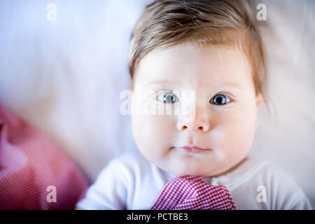 Baby, boy, portrait, blue eyes, looking friendly into the camera Stock Photo