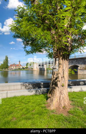 View over the river Main at Heilig Kreuzkapelle, Kitzingen am Main, Lower Franconia, Bavaria, Germany Stock Photo