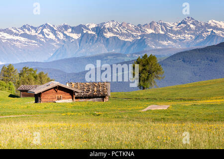 Europe, Italy, Bolzano, South Tyrol, Alpe di Siusi - Seiser Alm, alpine landscape with wooden huts and mountains Stock Photo