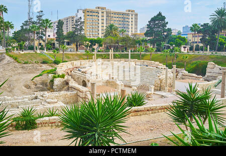 The antique amphitheatre of Roman period is surrounded by green palms and yucca shrubs, Kom Ad Dikka archaeological site, Alexandria, Egypt. Stock Photo