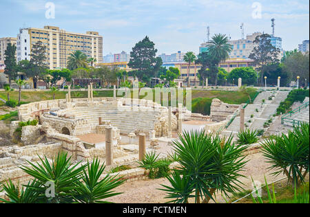 The picturesque view of Kom Ad Dikka archaeological site with Roman amphitheatre behind the juicy shrubs of yucca, Alexandria, Egypt Stock Photo