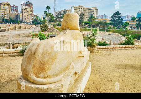 The ancient sphinx on territory of Kom Ad Dikka archaeological site, Alexandria, Egypt. Stock Photo