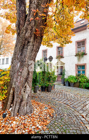 Bischofshof, Hotel, Inner courtyard, Facade, Historic district, Autumn, historical, Regensburg, Upper Palatinate, Bavaria, Germany, Europe, Stock Photo