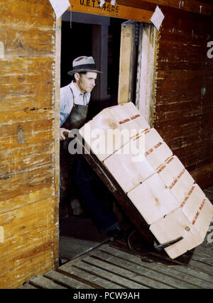 Loading oranges into refrigerator car at a co-op orange packing plant March 1943 Stock Photo