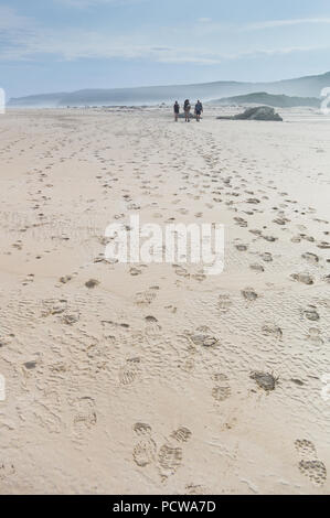 Hikers walking on the beach with backpacks on Tsitsikamma Hiking Trail, Tsitsikamma Mountains, Eastern Cape Province, South Africa Stock Photo