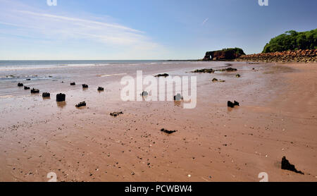 Dawlish Warren beach near Langstone Rock, showing rock armour along the sea wall, and the remains of groynes. Stock Photo