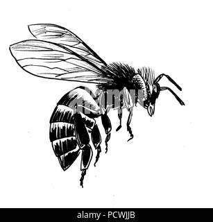 Flying bee. Ink black and white illustration Stock Photo