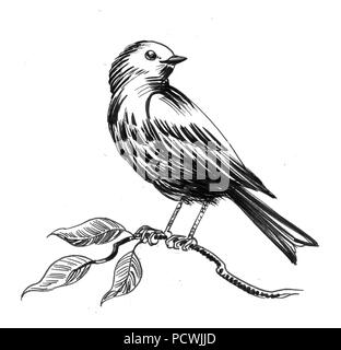 Bird sitting on a tree branch. Ink black and white illustration Stock Photo