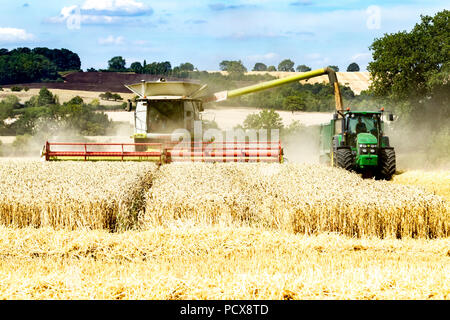 Great Brington, Northamptonshire, UK. 4th August 2018. Farm hands harvesting with a Claas 770 Lexton harvester working hard during the afternoon heat to cut the wheat field, making the most of the hot summer weather. Credit:  Keith J Smith./Alamy Live News Stock Photo