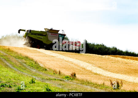 Great Brington, Northamptonshire, UK. 4th August 2018. Farm hands harvesting with a Claas 770 Lexton harvester working hard during the afternoon heat to cut the wheat field, making the most of the hot summer weather. Credit:  Keith J Smith./Alamy Live News Stock Photo