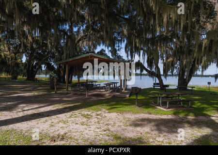 Carney Island Conservation Area in Ocklawaha, Florida USA Stock Photo