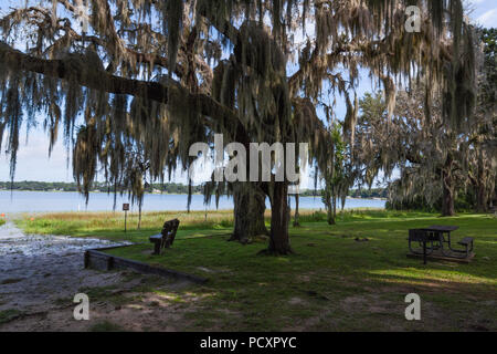 Carney Island Conservation Area in Ocklawaha, Florida USA Stock Photo