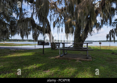 Carney Island Conservation Area in Ocklawaha, Florida USA Stock Photo