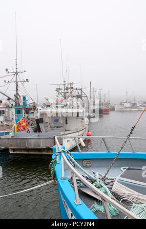 Fishing boats moored up in Branch harbour in fog, Newfoundland Stock Photo
