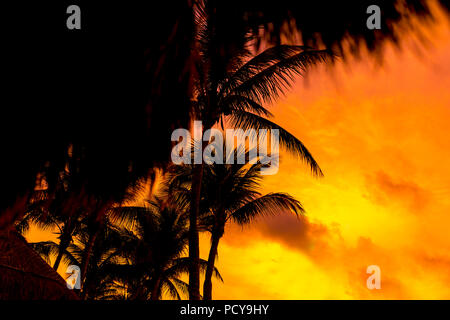 Beach palm trees on a deserted tropical beach silhouetted against a beautiful bright yellow sunset or sunrise over the caribbean ocean Stock Photo