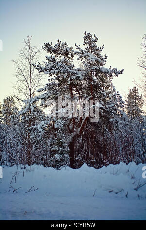 evening in the Arctic, Fiery sunset. night in the Arctic, Stock Photo