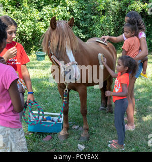 Detroit, Michigan - Children got a chance to ride and learn about horses at a city park. The event was organized by Detroit Horse Power, an organizati Stock Photo